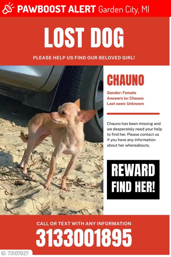 Lost Female Dog last seen Greenfiel, Garden City, MI 48135
