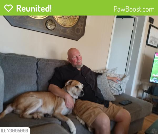 Reunited Male Dog last seen Pinellas pt dr s Roy Hanna Dr , St. Petersburg, FL 33712