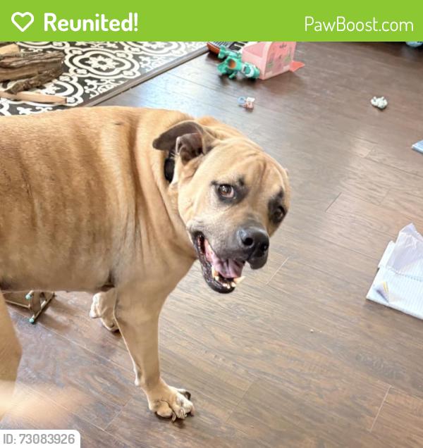 Reunited Male Dog last seen 30th street and Winthrop Ave, Indianapolis, IN 46205