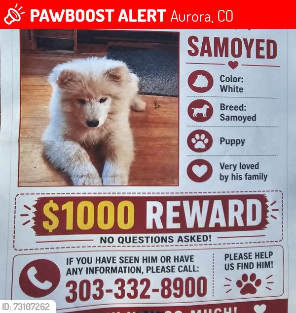 Lost Female Dog last seen Oakland and Florida, Aurora, CO 80012