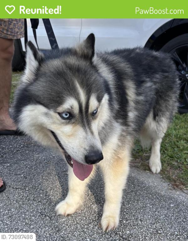 Reunited Unknown Dog last seen Port St. Lucie, Port St. Lucie, FL 34986