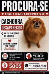 Lost Female Dog last seen Travessa ana Aurora de Jesus Ribeiro, 311, Jardim Paulistano, SP 