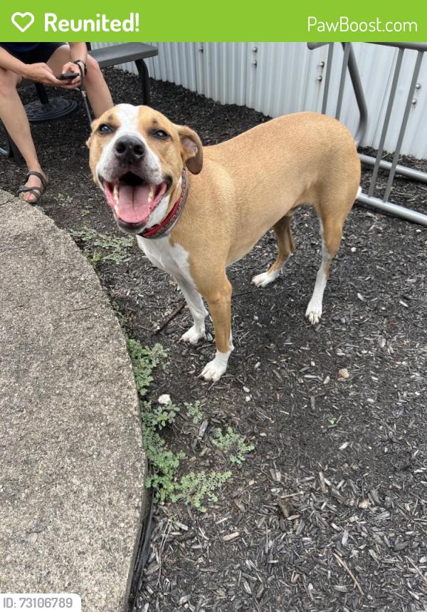 Reunited Male Dog last seen Peggy’s Habor on the Three Rivers Heritage Trail, Pittsburgh, PA 15233