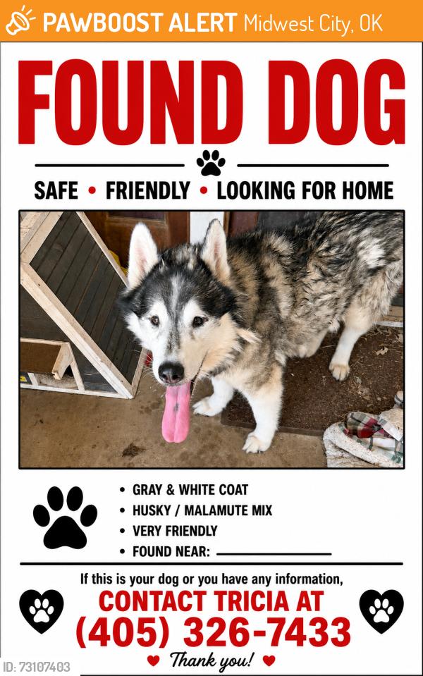 Found/Stray Female Dog last seen Air depot/10th, Midwest City, OK 73110