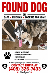Found/Stray Female Dog last seen Air depot/10th, Midwest City, OK 73110