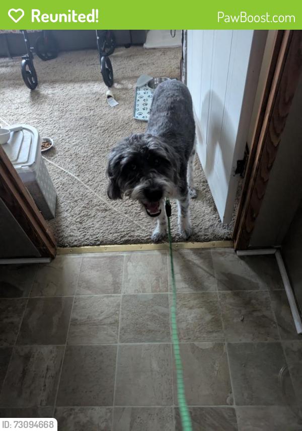 Reunited Male Dog last seen Near Barbara lane, Edgemere, MD 21219