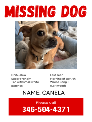 Reunited Female Dog last seen Near wrens song Pl, Spring, TX 77382