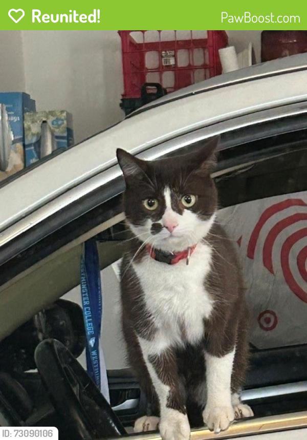 Reunited Male Cat last seen Oakleigh Valley Dr and Lost Mountain Road, Powder Springs, GA 30127