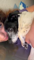 Reunited Female Dog last seen Indian school NE 87102 university, Albuquerque, NM 87102