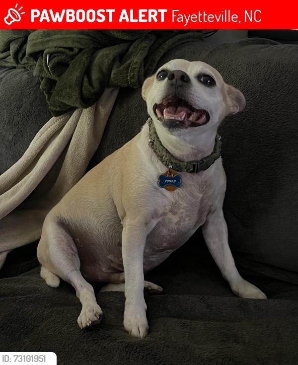 Lost Male Dog last seen Near Nix Rd Fayetteville, NC 28314, Fayetteville, NC 28314