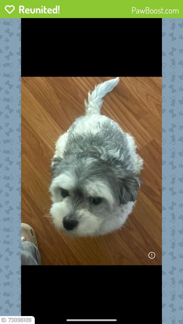 Reunited Female Dog last seen Airoso, Port St. Lucie, FL 34983