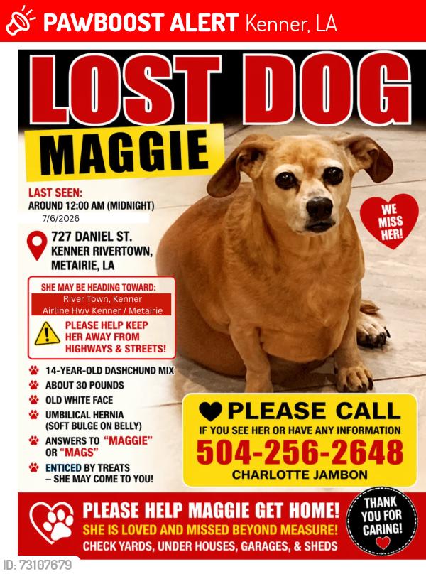 Lost Female Dog last seen Between airline and Jefferson Highway, Kenner, LA 70062