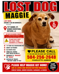 Lost Female Dog last seen Between airline and Jefferson Highway, Kenner, LA 70062
