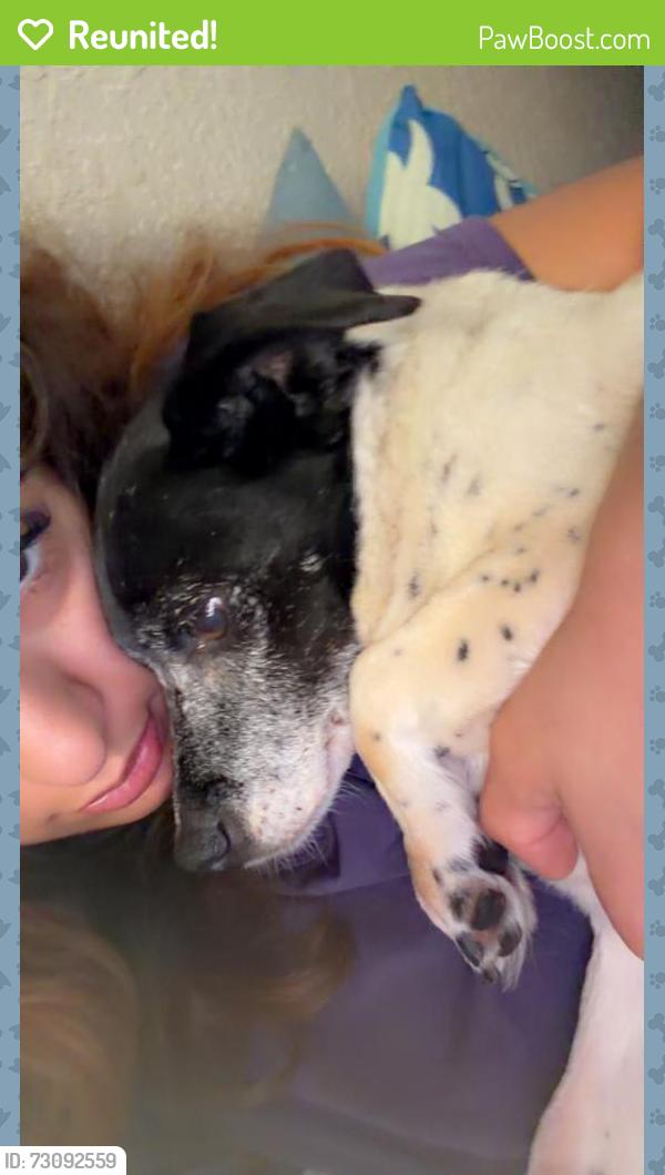 Reunited Female Dog last seen Indian school NE 87102 university, Albuquerque, NM 87102