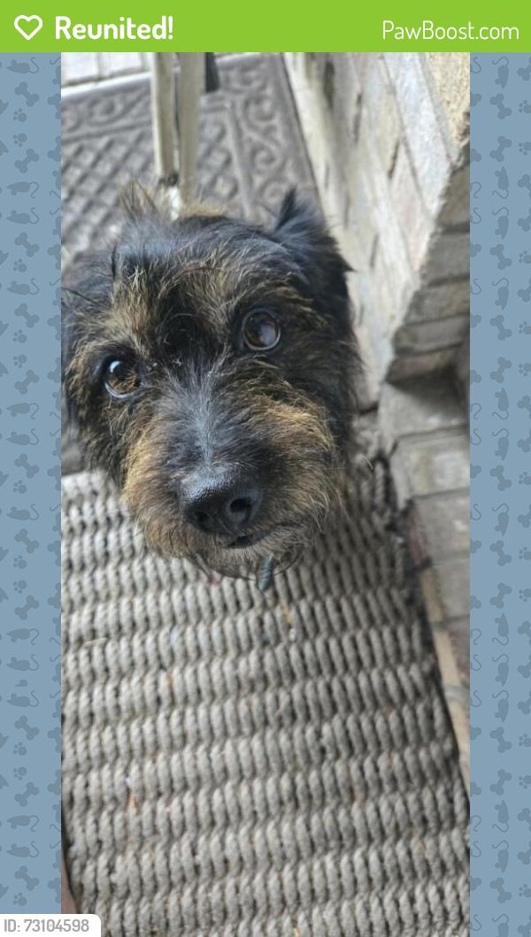 Reunited Male Dog last seen Cade Rd and Liberty Rd, Guilford County, NC 27233
