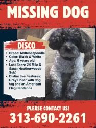 Lost Male Dog last seen 24 Mile & Sass Rd, New Baltimore, MI 48047