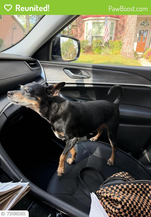 Reunited Female Dog last seen Lake Lodge Drive and Bay Forest Drive, Houston, TX 77062