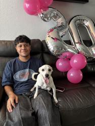 Reunited Male Dog last seen Absolon Farm, San Antonio, TX 78228