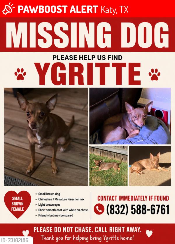 Lost Female Dog last seen Near Legacy Oak St, Katy, TX 77493