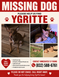 Lost Female Dog last seen Near Legacy Oak St, Katy, TX 77493