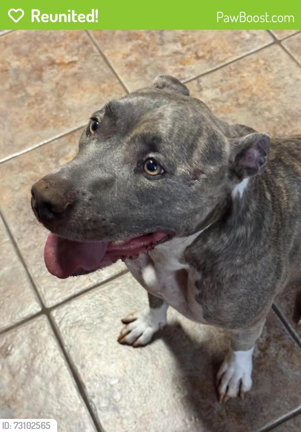 Reunited Male Dog last seen Zorbas, Oklahoma City, OK 73116