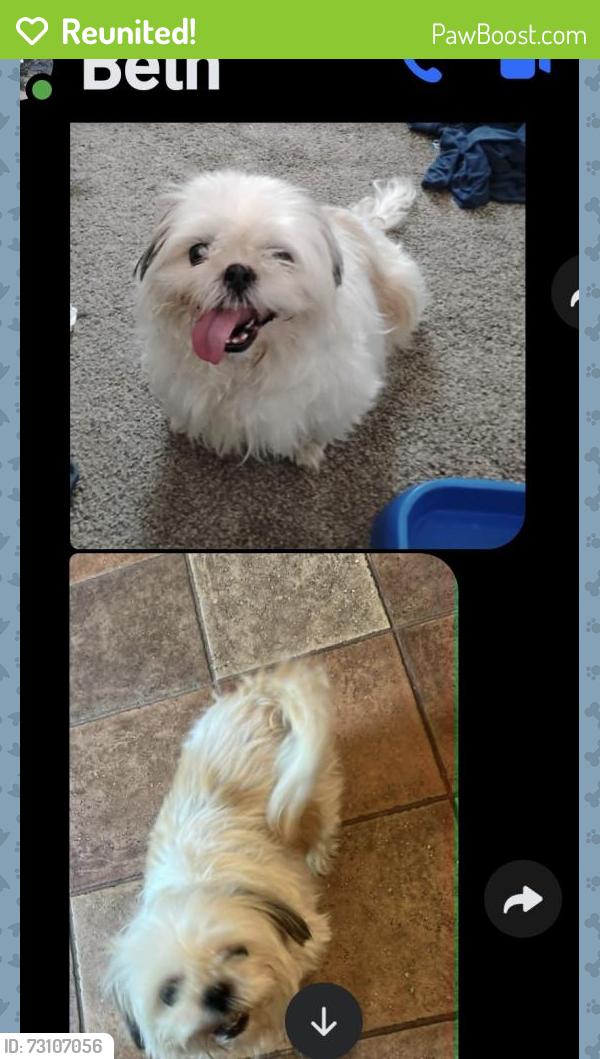 Reunited Female Dog last seen Hillcrest and hill street, Green Bay, WI 54313