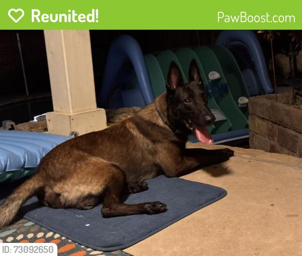 Reunited Male Dog last seen Ray white rd and beach street, Fort Worth, TX 76244