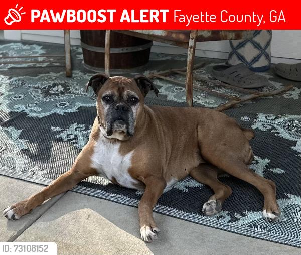 Lost Female Dog last seen Goza Rd @ Old Greenville Rd, Fayette County, GA 30215
