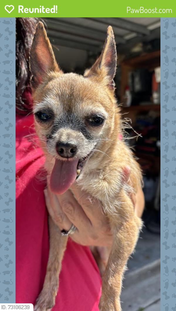 Reunited Unknown Dog last seen Port St. Lucie, Port St. Lucie, FL 34986