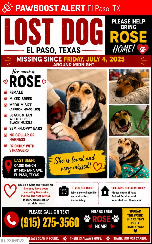 Lost Female Dog last seen From my back yard main road, El Paso, TX 79936
