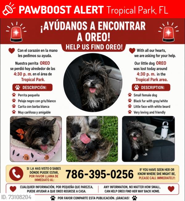 Lost Female Dog last seen Tropical Park/ Westchester, Tropical Park, FL 32953