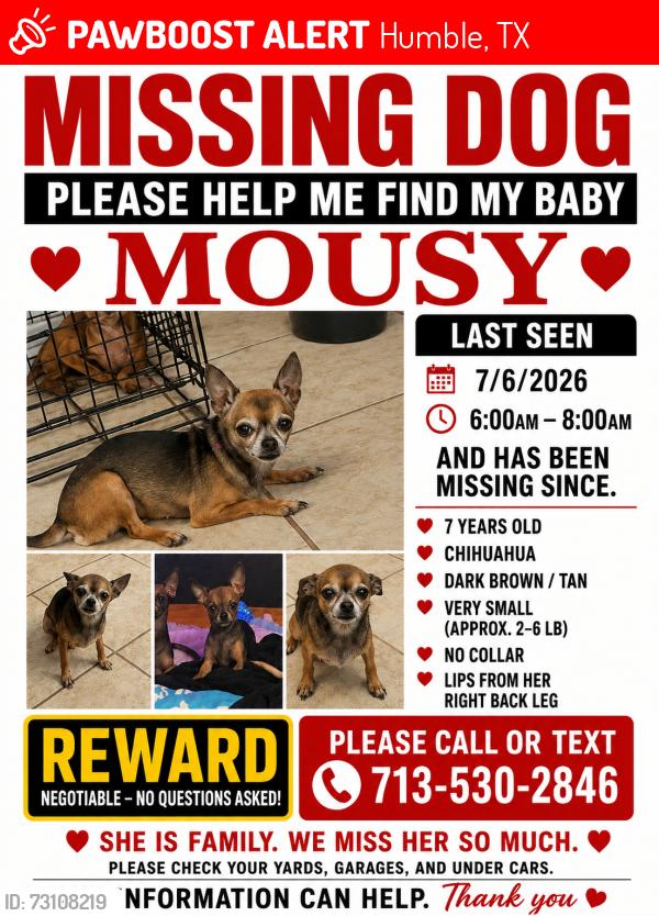 Lost Female Dog last seen twp Dr, Humble, TX 77338