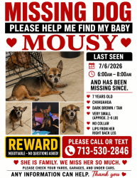 Lost Female Dog last seen twp Dr, Humble, TX 77338