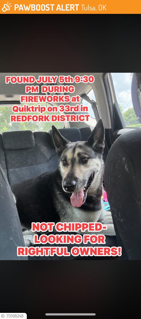 Found/Stray Male Dog last seen Quiktrip in Redfork district is the exact location found, Tulsa, OK 74107