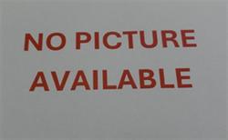 Shelter Stray Male Cat last seen , 232 Eslinger Way, Sanford, FL 32773, USA