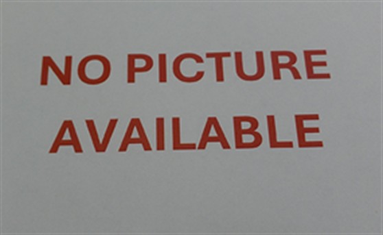 Shelter Stray Male Cat last seen , 232 Eslinger Way, Sanford, FL 32773, USA