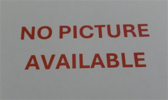 Shelter Stray Female Cat last seen , 232 Eslinger Way, Sanford, FL 32773, USA