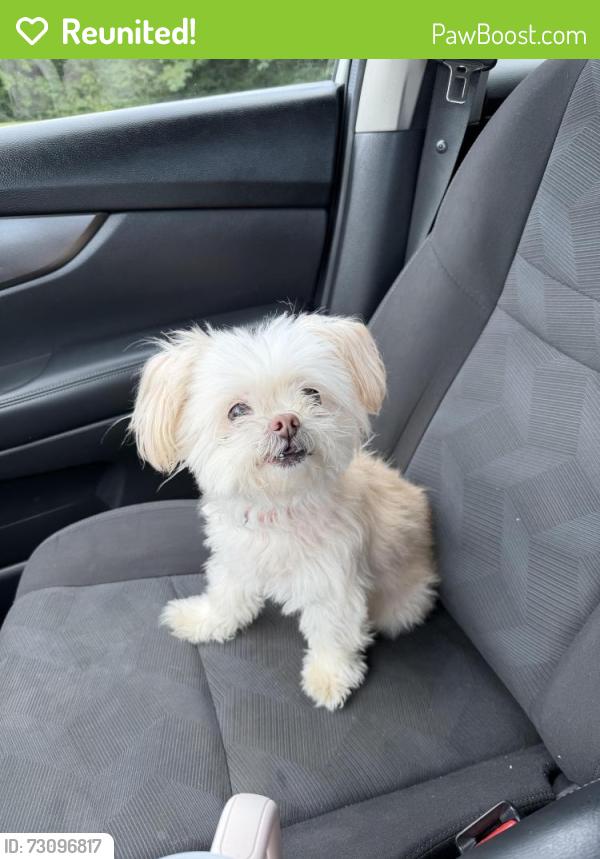 Reunited Female Dog last seen Willow Glenn Dr, Birmingham, AL 35215
