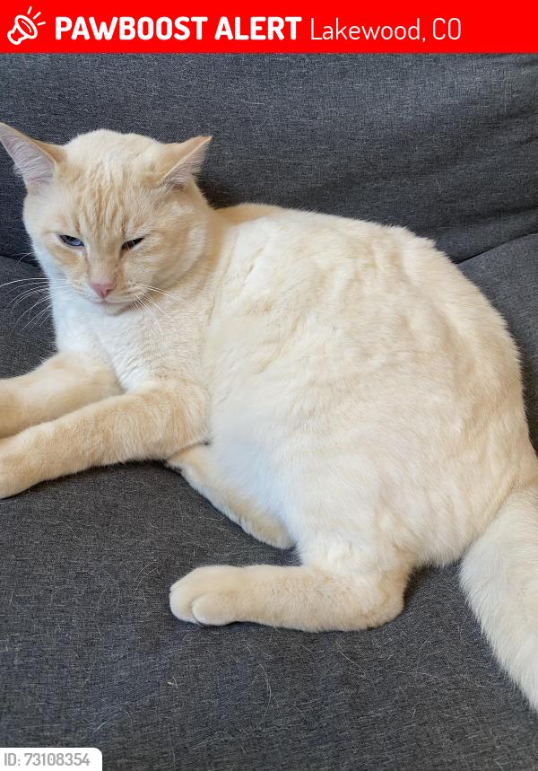 Lost Male Cat last seen Chase Lane & Lakeridge, Lakewood, CO 80227