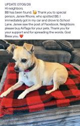 Reunited Female Dog last seen Havre Turn, Queenland, MD 20772