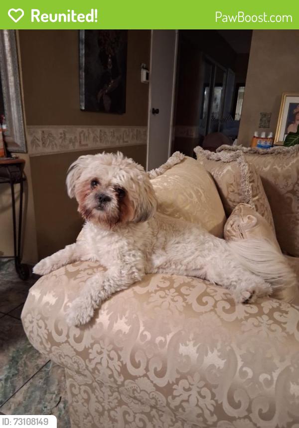 Reunited Female Dog last seen Citrus Ave. and Malaga Ave., Fontana, CA 92336