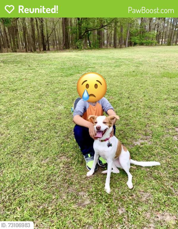 Reunited Female Dog last seen Utah street & Ingleside Rd, Norfolk, VA 23502