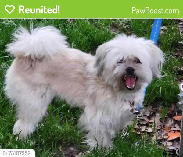 Reunited Female Dog last seen Hwy 278, Overlook Subdivision, Dallas, GA 30157