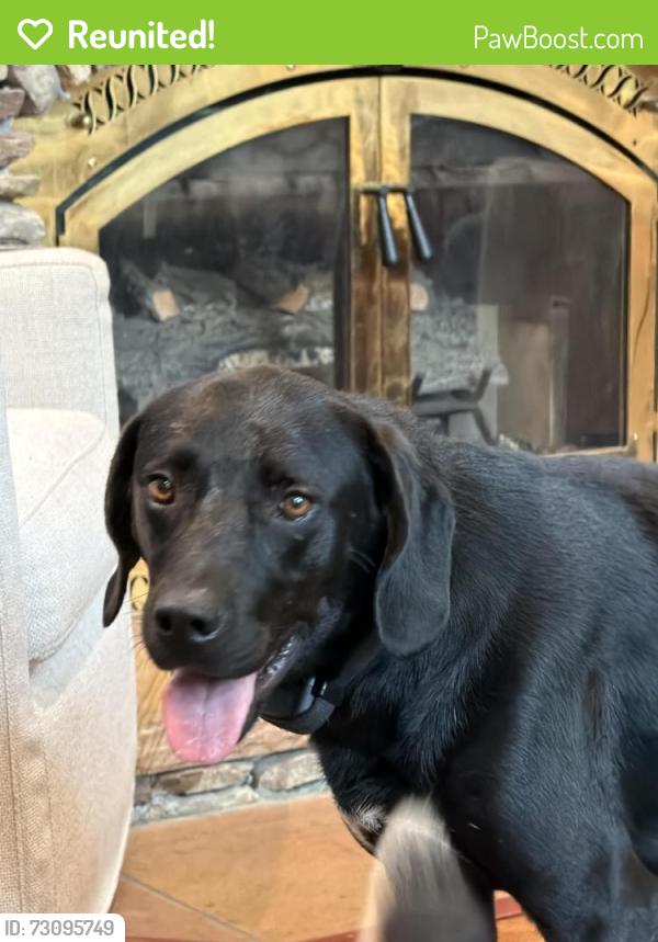 Reunited Male Dog last seen Hwy 58 and Emanon Rd, Hamilton County, TN 37341