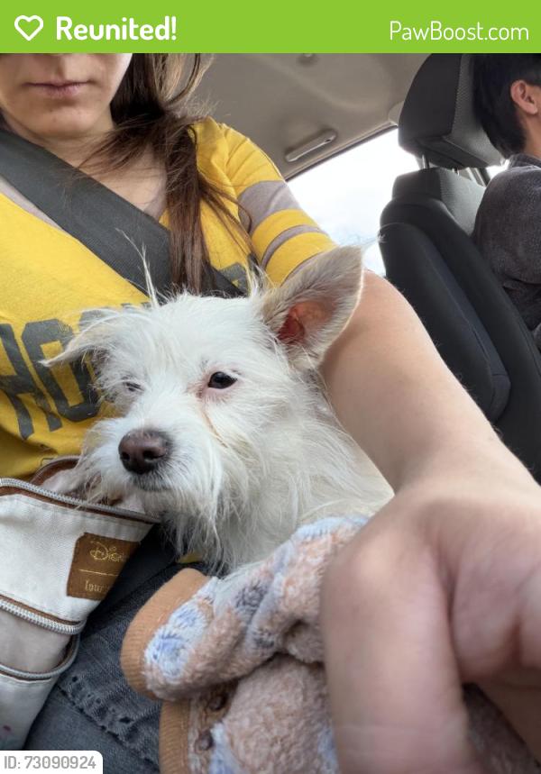 Reunited Unknown Dog last seen Found on my porch, Denver, CO 80220