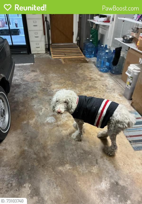 Reunited Female Dog last seen Deer Ridge Dr, Boerne, TX 78006