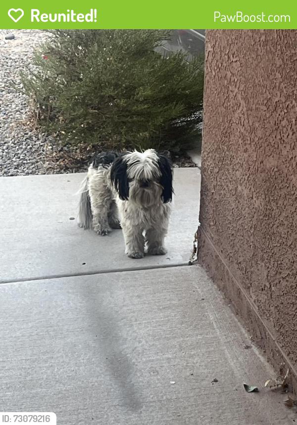 Reunited Unknown Dog last seen Dessert sands, Albuquerque, NM 87121