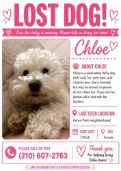 Reunited Female Dog last seen Aston park neighborhood, San Antonio, TX 78229