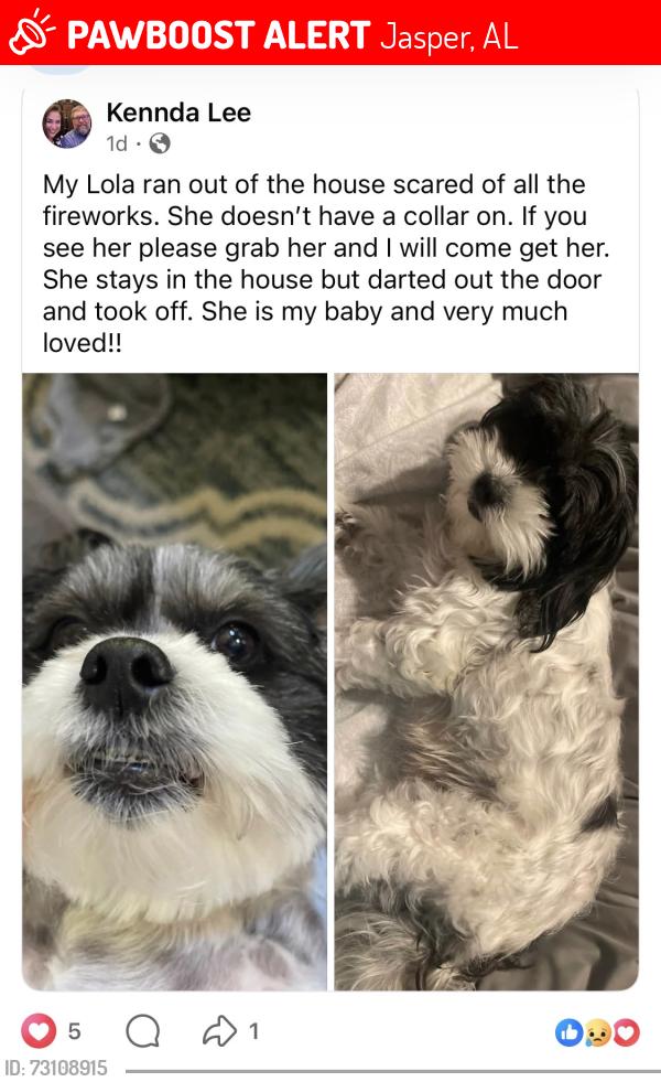 Lost Female Dog last seen Heatherwood Subdivision, Jasper, AL 35504