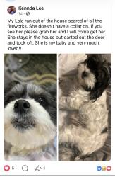 Lost Female Dog last seen Heatherwood Subdivision, Jasper, AL 35504